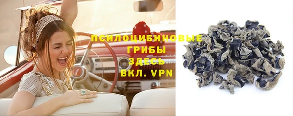 ешки Каменка