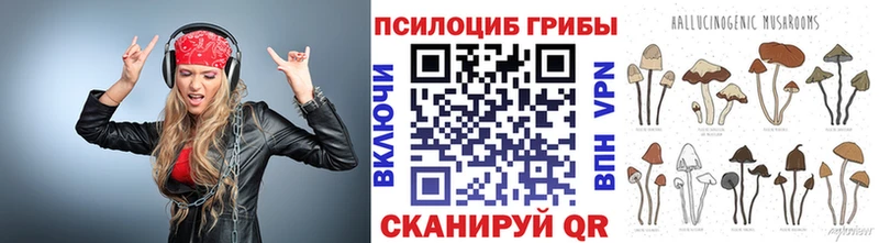 Псилоцибиновые грибы ЛСД  Купить закладки  Кремёнки 